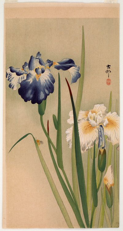 Small Insect on Flowering Irises by Ohara Koson